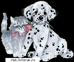 de ce ati pus floricele si fond negru faceti-l mai e frumoasa .poate roz,roru galben si multe poze