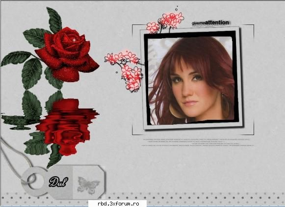 gallery dulce