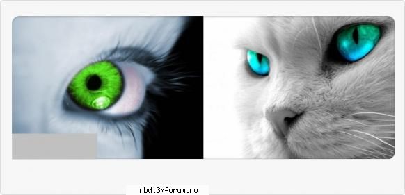 :( bebe`s creations