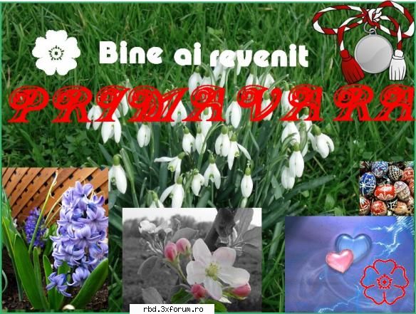 ``Courtney's arts[ali]`` - .Ali. - Art zone