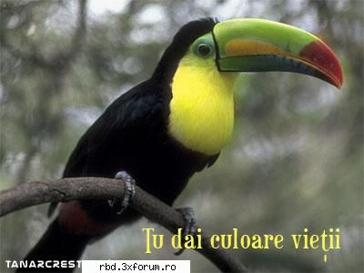 Notă pentru poză - 9 ca e cam veche poza - Jocuri