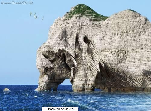 Notă pentru poză - nu ma atrag astea k okii.8...misterul naturii - Jocuri