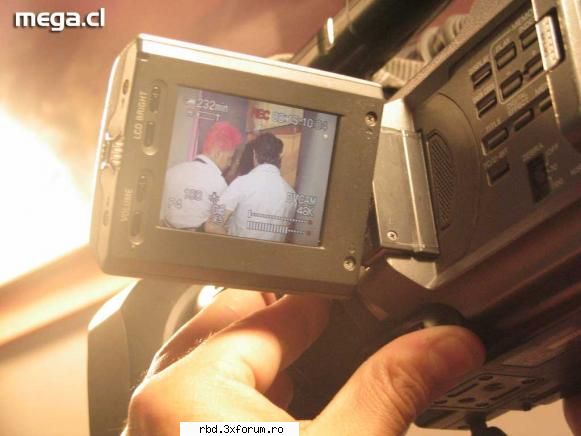 jocul fazan - anahi_mi_hadita - Jocuri