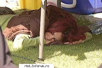 dul: rbd la familia [joc]